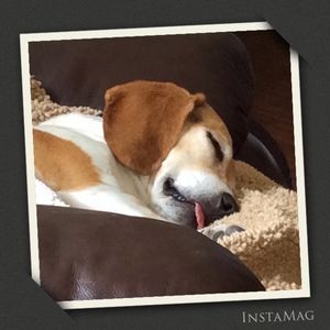 Meet your Posher, Candice